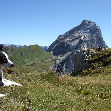 Sonnenhaus Sander Schruns Extérieur photo