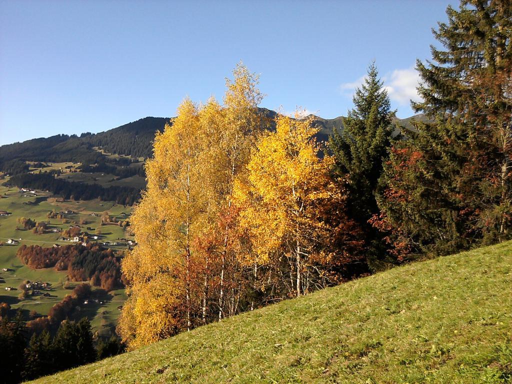 Sonnenhaus Sander Schruns Extérieur photo